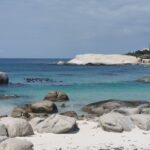 IMG_20240913_140412