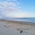 IMG_20240913_173731